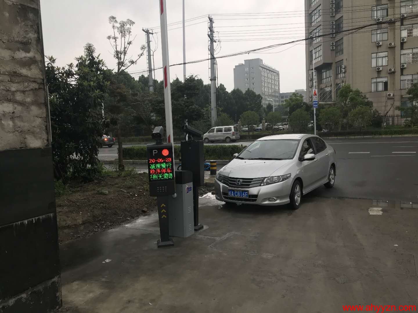 1593361089793368.jpg
